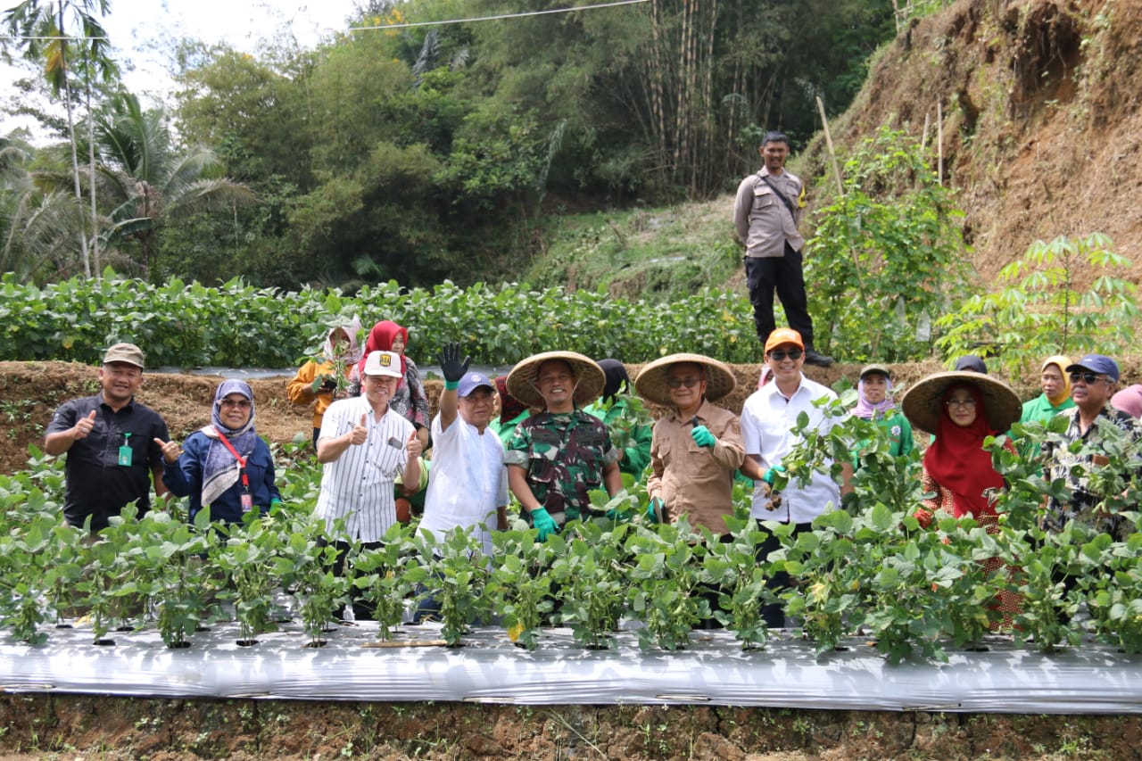 Kadis Perikanan Hadiri Acara Panen Raya Edamame Dilanjutkan Kunjungan ke Hatchery Budidaya Sidat